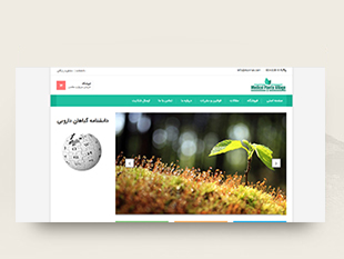 فروشگاه دهکده گیاهان دارویی